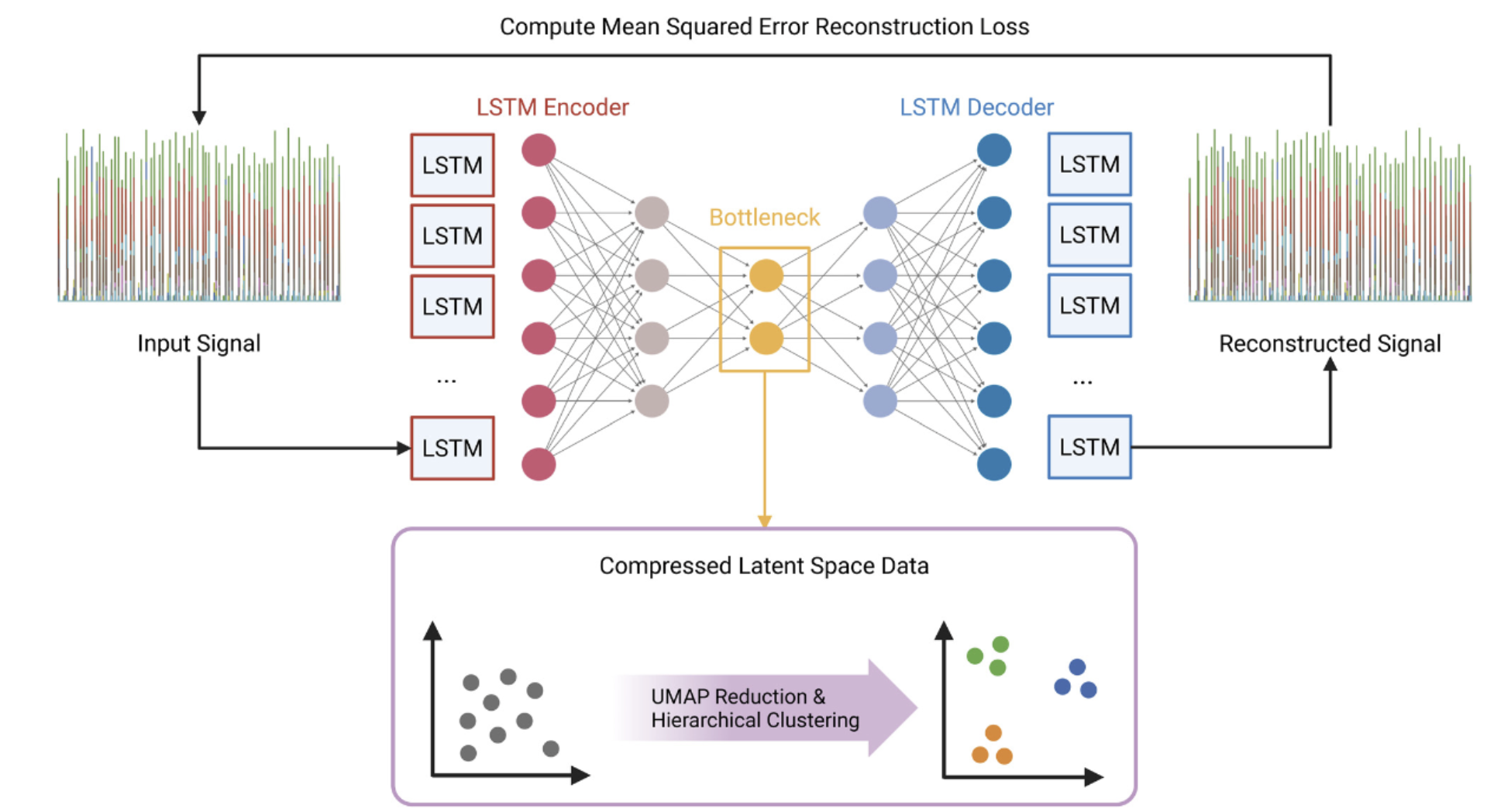 Neurophysiology Thumbnail